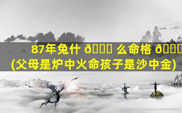 87年兔什 🐕 么命格 💐 (父母是炉中火命孩子是沙中金)